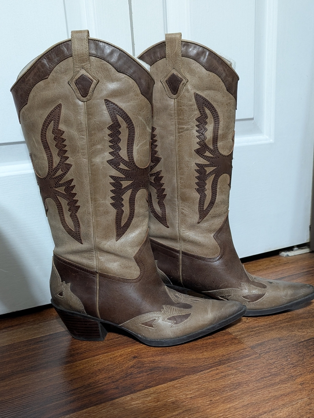 Reba Leather Teo-toned Pointed Toe Cowboy Boots